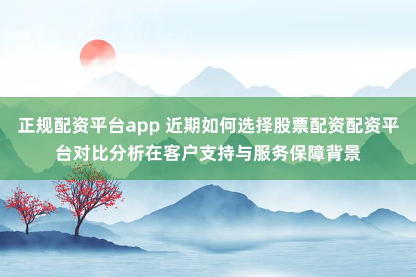 正规配资平台app 近期如何选择股票配资配资平台对比分析在客户支持与服务保障背景