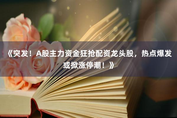 《突发！A股主力资金狂抢配资龙头股，热点爆发或掀涨停潮！》