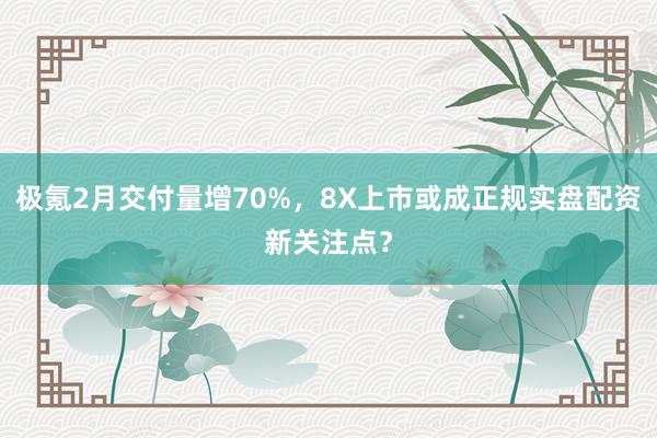 极氪2月交付量增70%，8X上市或成正规实盘配资新关注点？