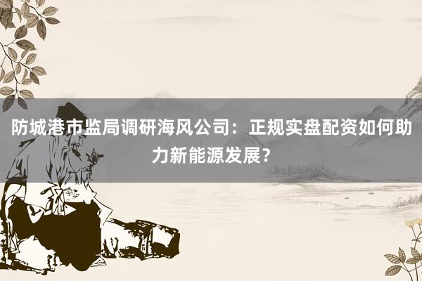 防城港市监局调研海风公司：正规实盘配资如何助力新能源发展？