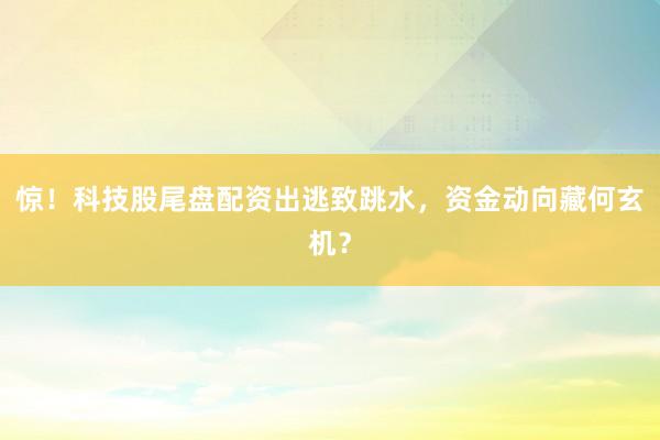 惊！科技股尾盘配资出逃致跳水，资金动向藏何玄机？