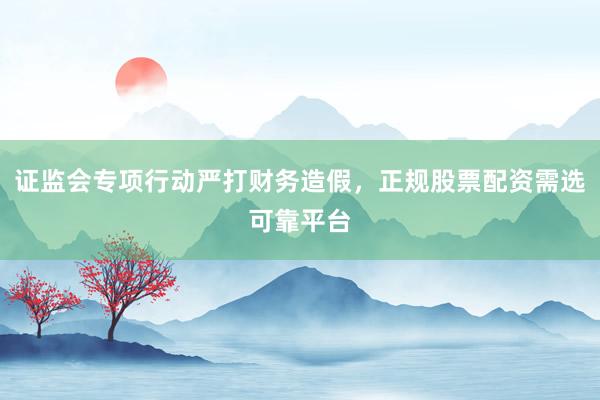 证监会专项行动严打财务造假，正规股票配资需选可靠平台