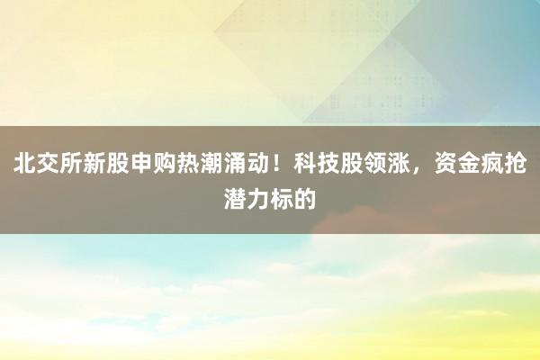 北交所新股申购热潮涌动！科技股领涨，资金疯抢潜力标的