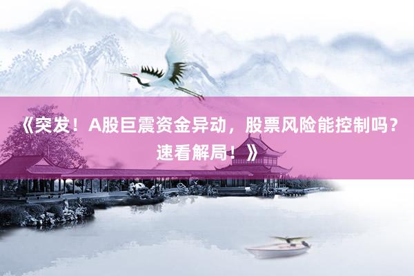 《突发！A股巨震资金异动，股票风险能控制吗？速看解局！》
